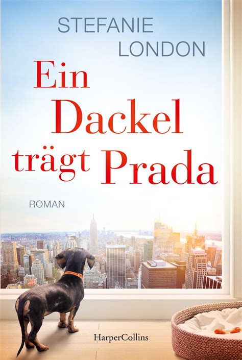 Ein Dackel trägt Prada by Stefanie London 